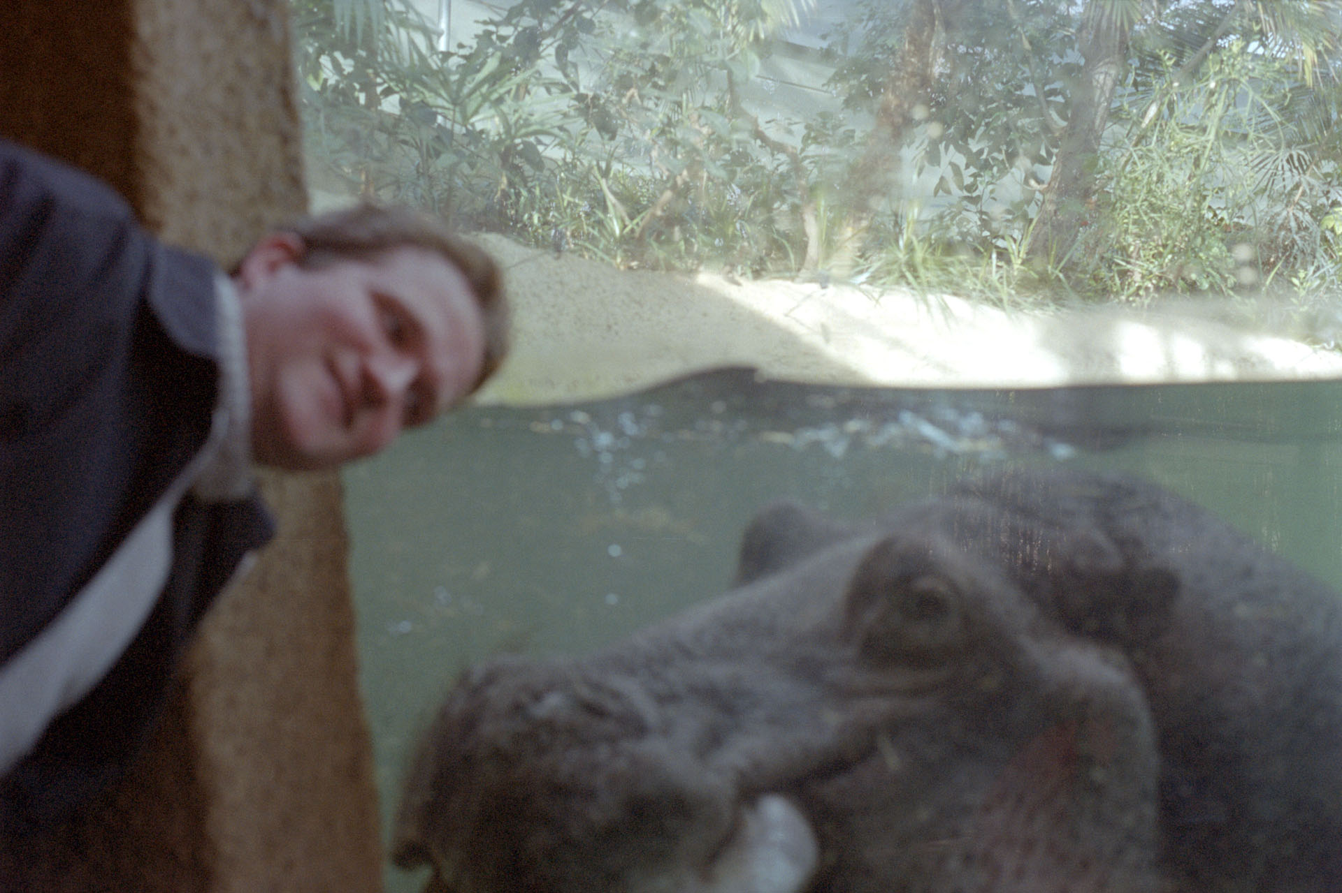 Zoologischer Garten Berlin