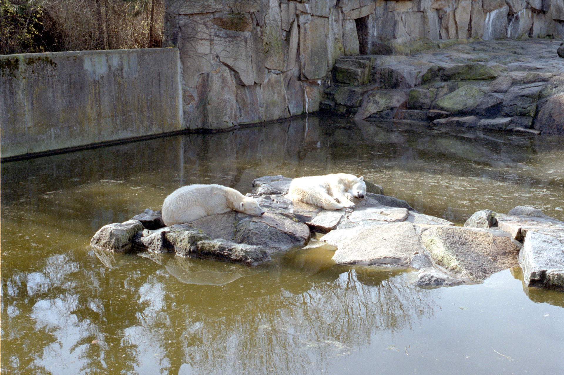 Zoologischer Garten Berlin