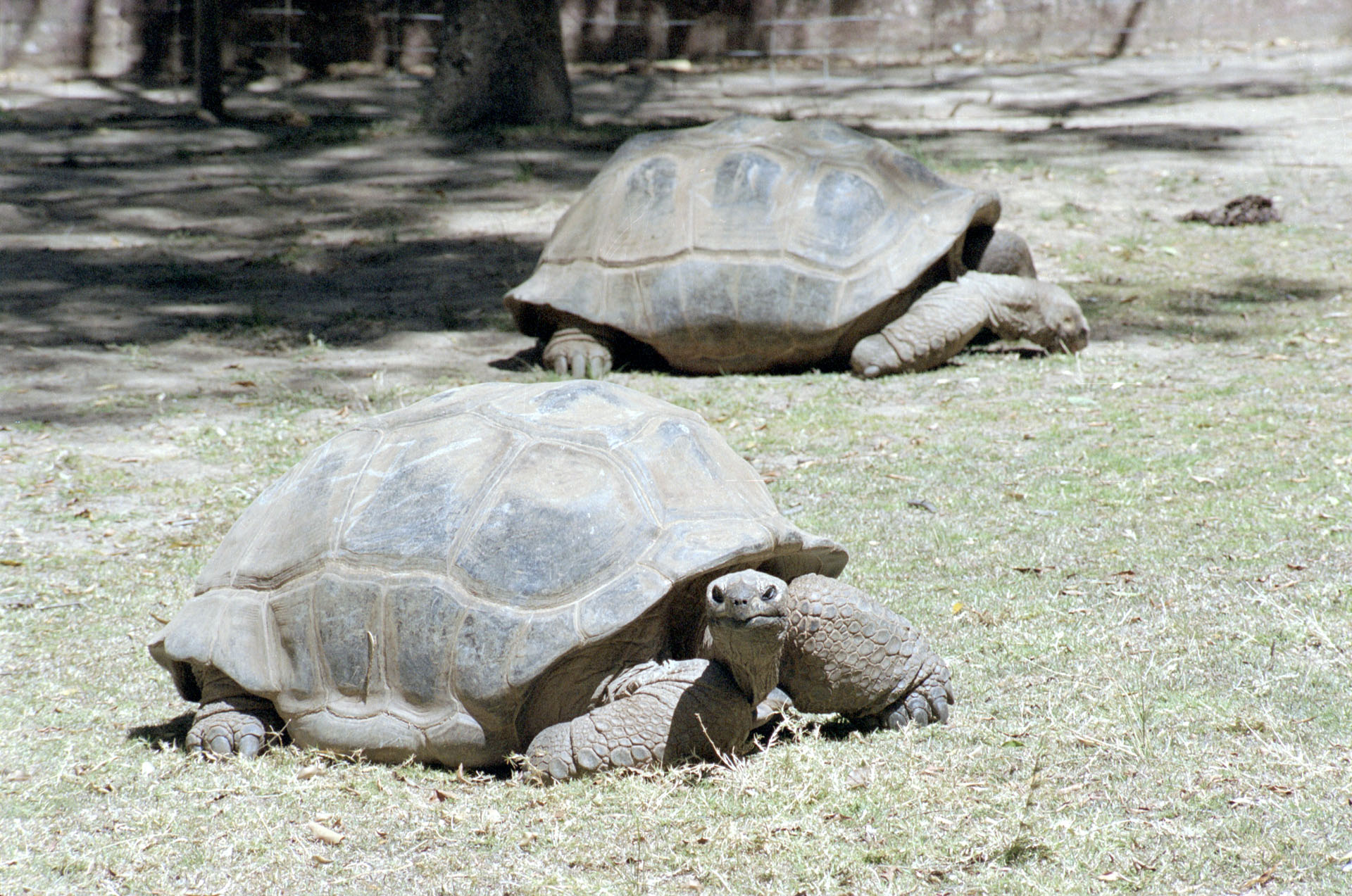 Parc Botanique et Zoologique de Tsimbazaza
