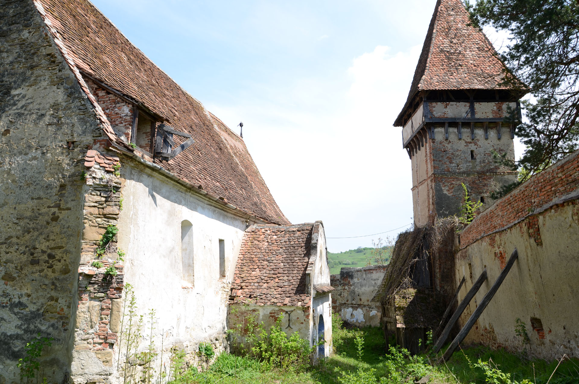 Pelișor Lutheran Fortified Church