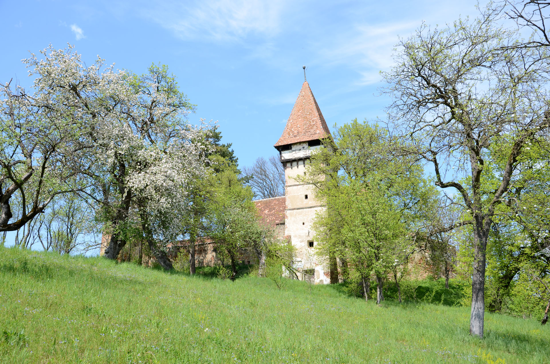 Pelișor Lutheran Fortified Church