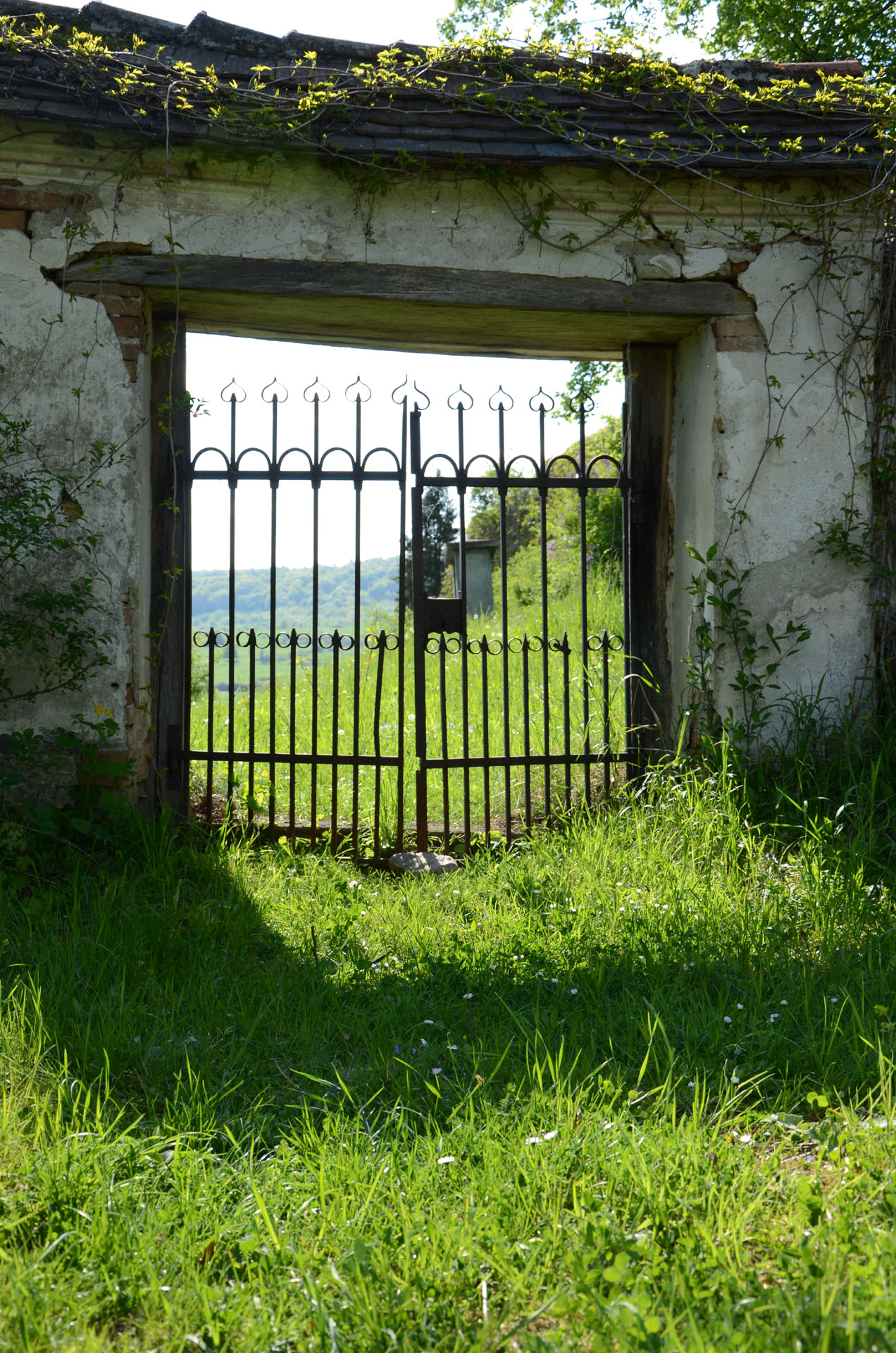 Rodbav Fortified Church