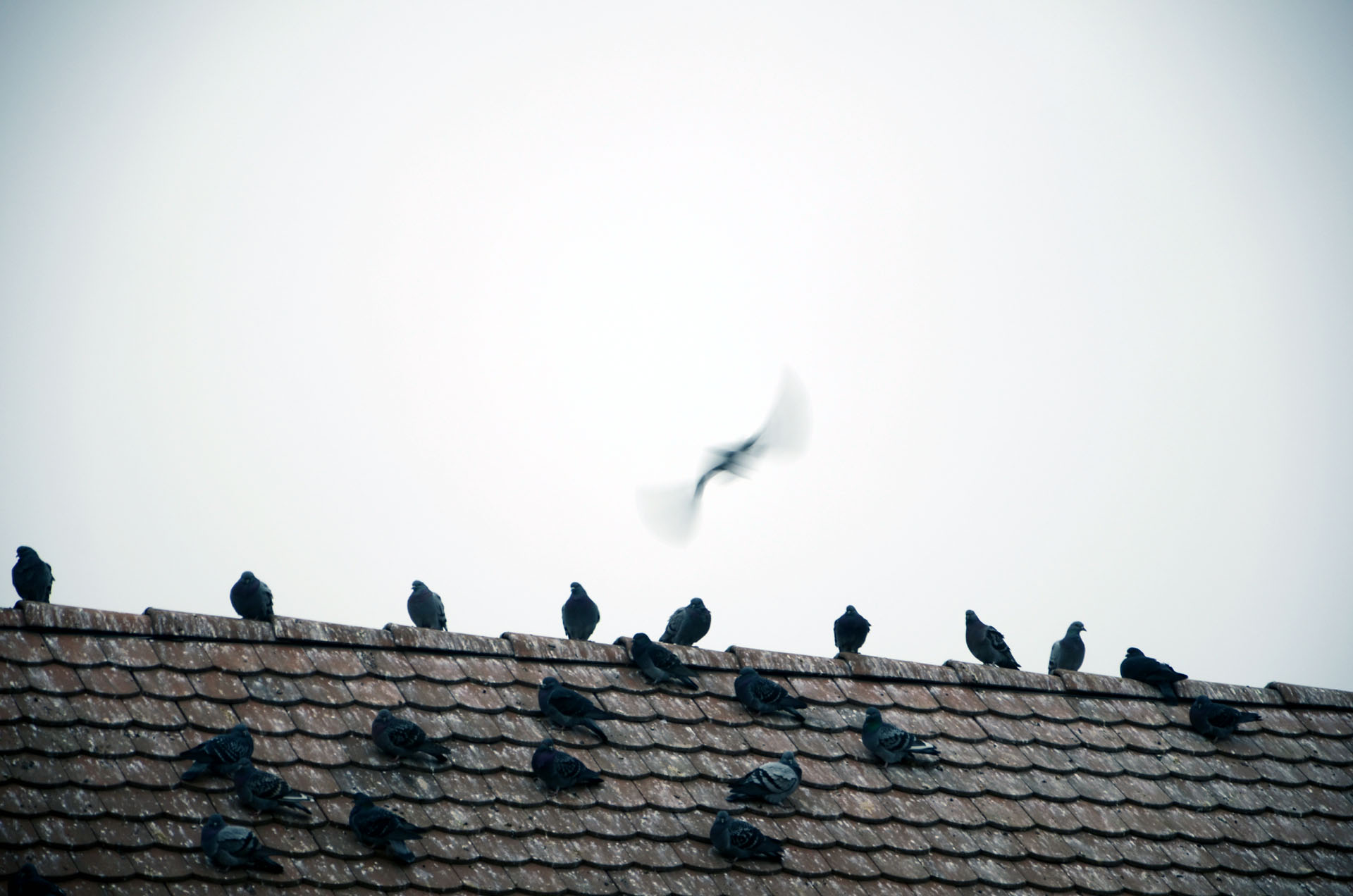 Františkánske Námestie