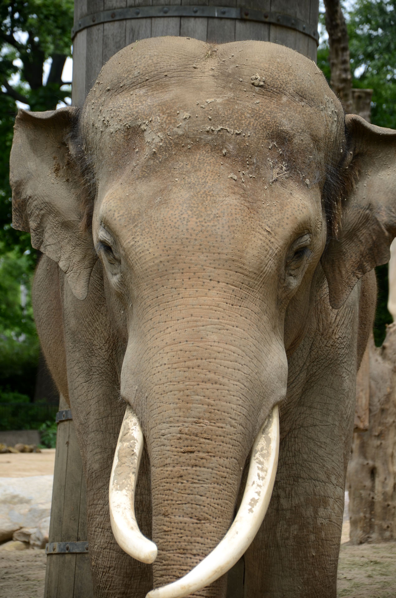 Zoologischer Garten Berlin