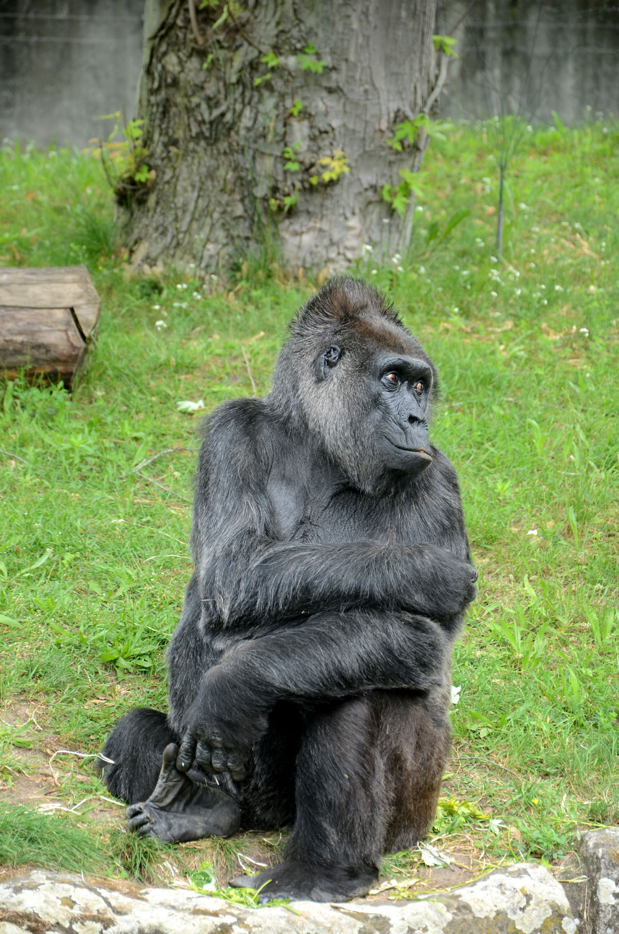 Zoologischer Garten Berlin