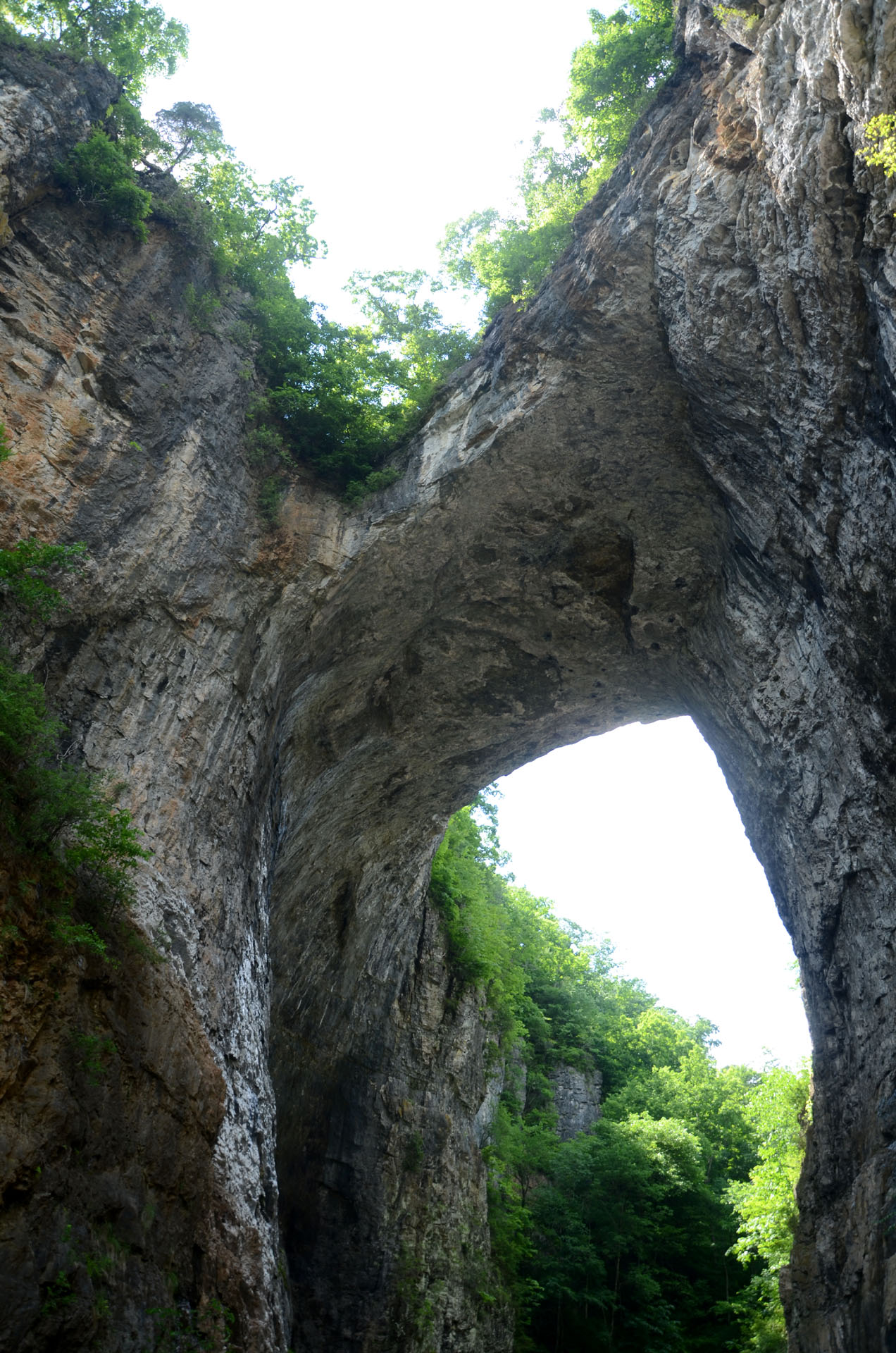 Natural Bridge of Virginia