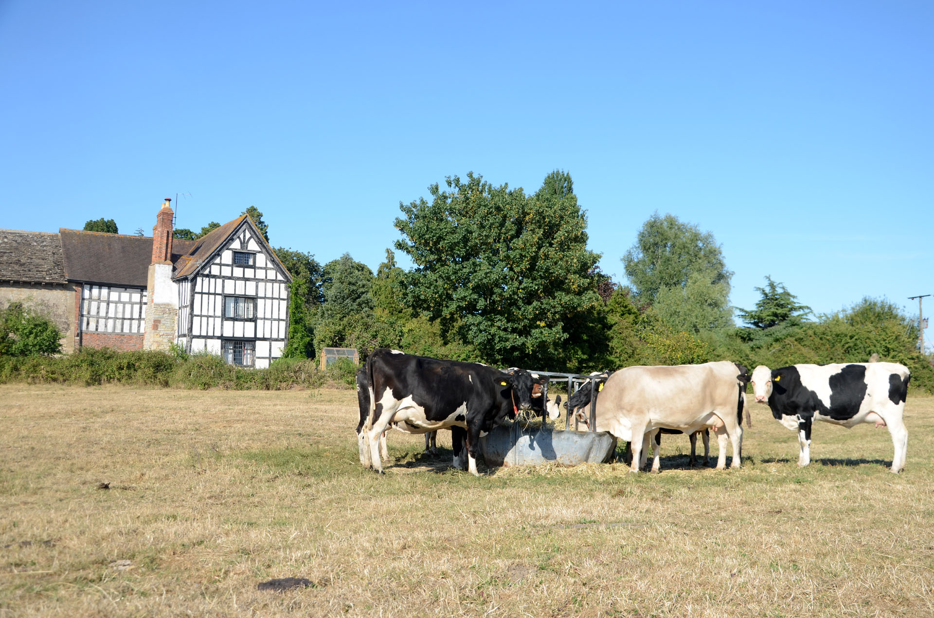 Abbot's Court & Odda's Chapel