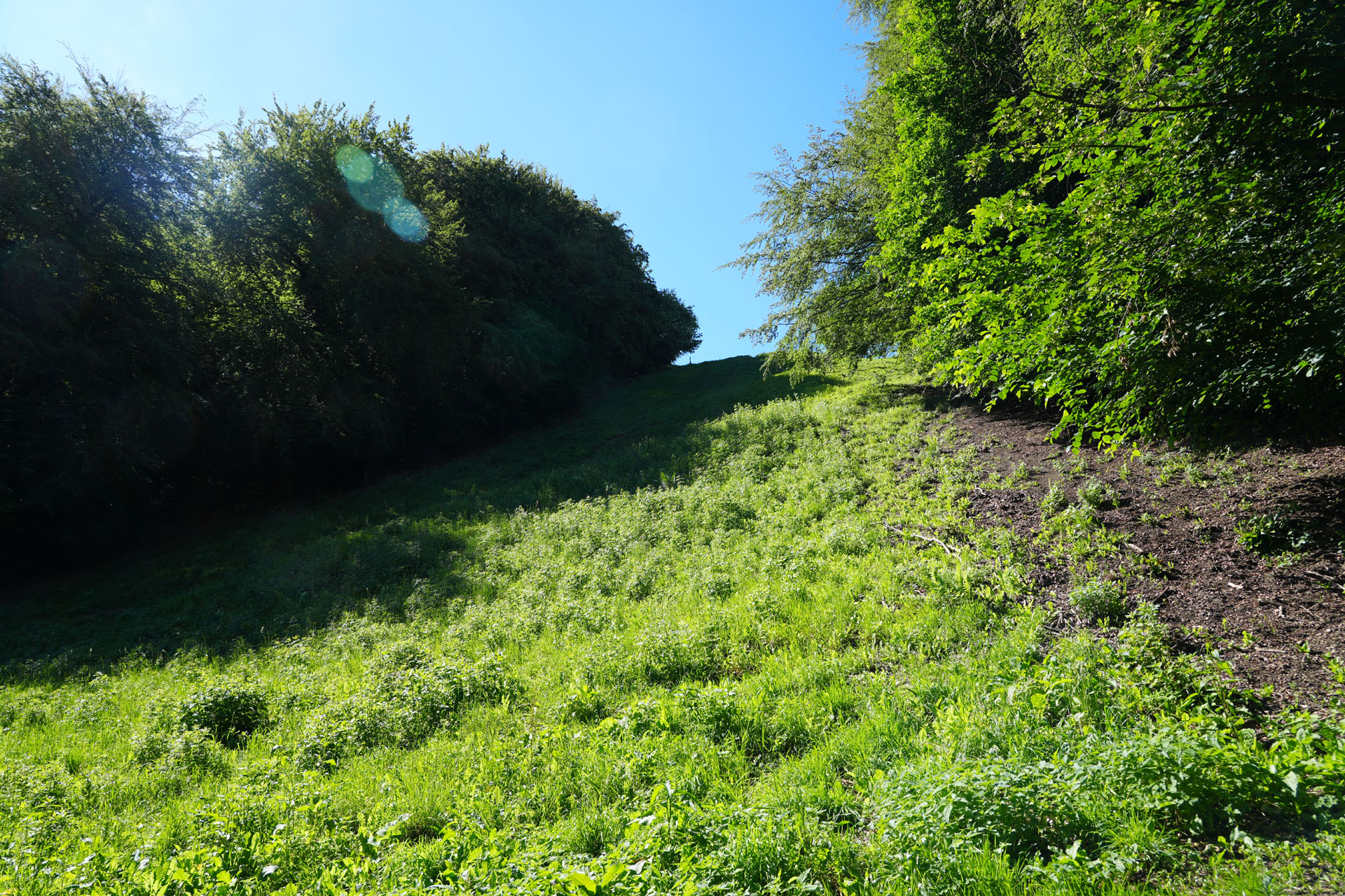 Cooper's Hill